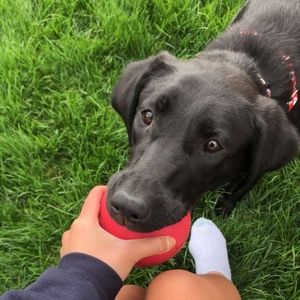 Meet your Posher, Hannah